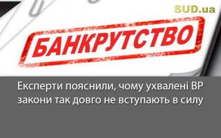 Експерти пояснили, чому ухвалені ВР закони так довго не вступають в силу