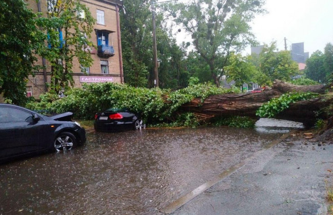 Последствия непогоды: в Киеве дерево упало на автомобиль и перекрыло дорогу