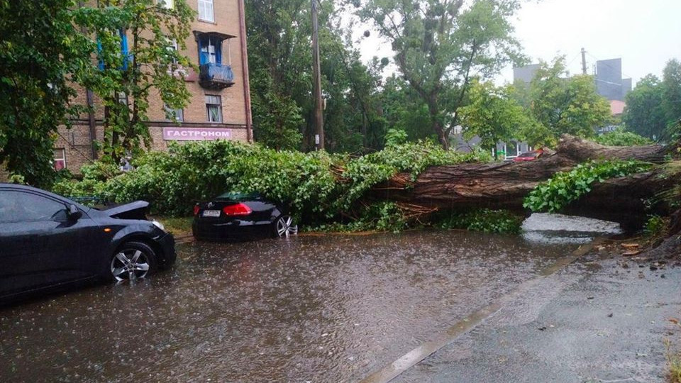 Последствия непогоды: в Киеве дерево упало на автомобиль и перекрыло дорогу