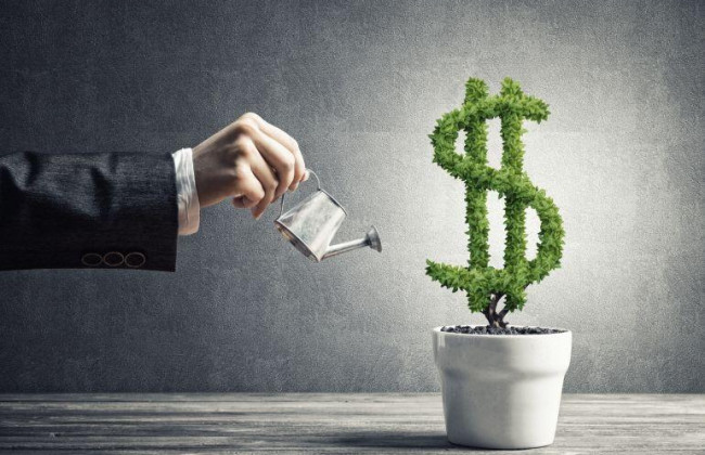 Комітет з питань економічного розвитку розглянув законопроекти про державну підтримку інвестицій