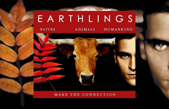 Захоплення заручників в Луцьку: зоозахисники засуджують дії терориста