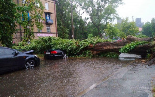 Последствия непогоды: в Киеве дерево упало на автомобиль и перекрыло дорогу