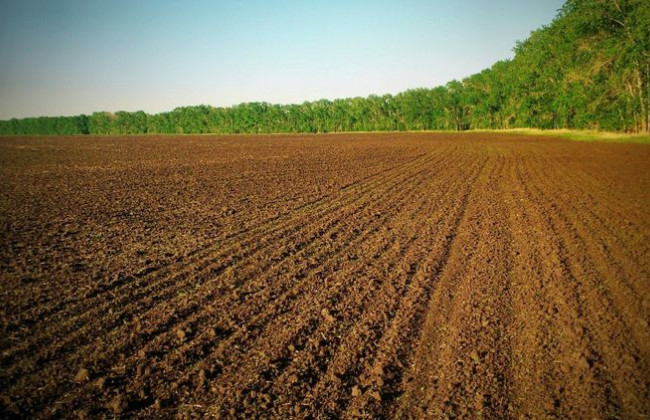 У Держгеокадастрі виявили незаконне використання земель