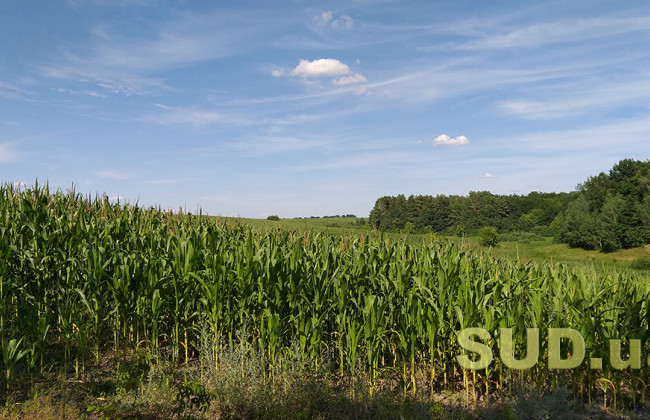 Передача земельної ділянки в оренду юридичній особі: що вирішила ВП ВС