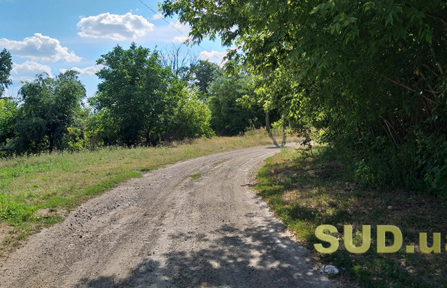 Кабінетом міністрів врегульовано правовий статус лісосмуг