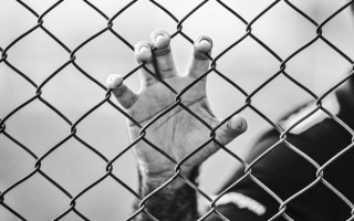 Одягнув нашийник і прив'язав: у Кривому Розі нелюд жорстоко вимагав борг зі знайомого