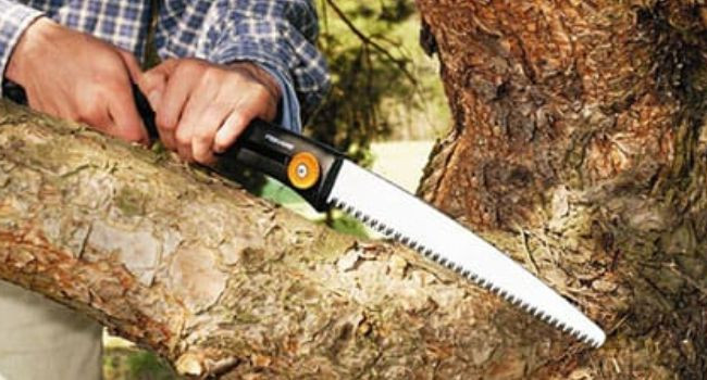 Плод раздора: под Тернополем мужчина обстрелял электриков из-за ореха