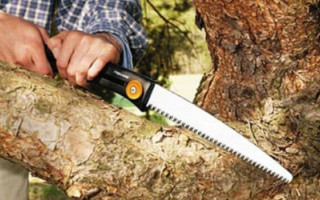 Плод раздора: под Тернополем мужчина обстрелял электриков из-за ореха