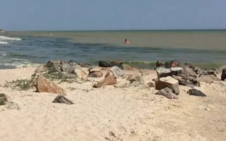 Позеленело: сообщили о проблеме с Азовским морем, видео