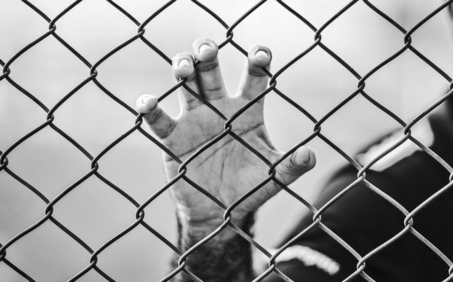 Одягнув нашийник і прив'язав: у Кривому Розі нелюд жорстоко вимагав борг зі знайомого