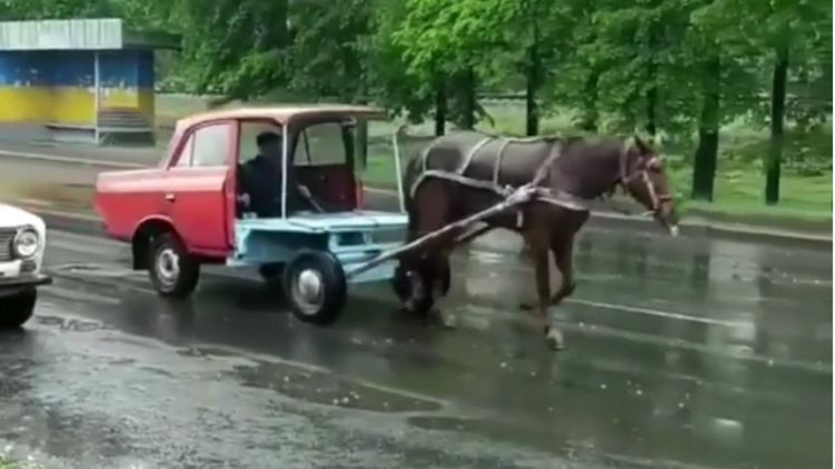 «Форд мустанг эконом»: по улицам Ровно разъезжает конь, запряженный в корпус «Москвича», видео