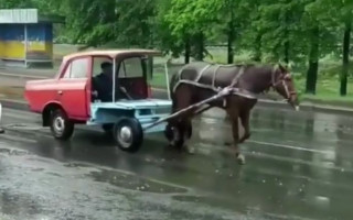 «Форд мустанг эконом»: по улицам Ровно разъезжает конь, запряженный в корпус «Москвича», видео