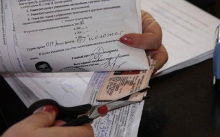 Чернівчанка намагалася нелегально вивезти дітей за кордон