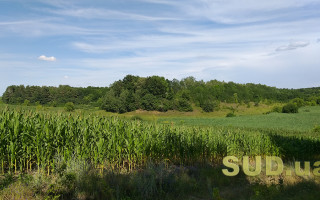 Нецільове використання земельної ділянки: практика Верховного Суду