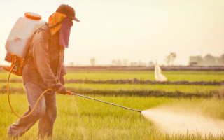 Некоторые загрязняющие вещества разрешены в продуктах: что известно