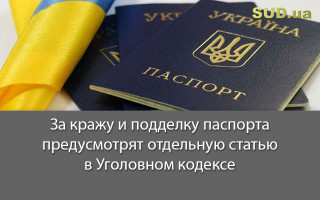 За кражу и подделку паспорта предусмотрят отдельную статью в Уголовном кодексе