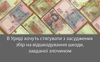 В Уряді  хочуть стягувати з засуджених збір на відшкодування шкоди, завданої злочином