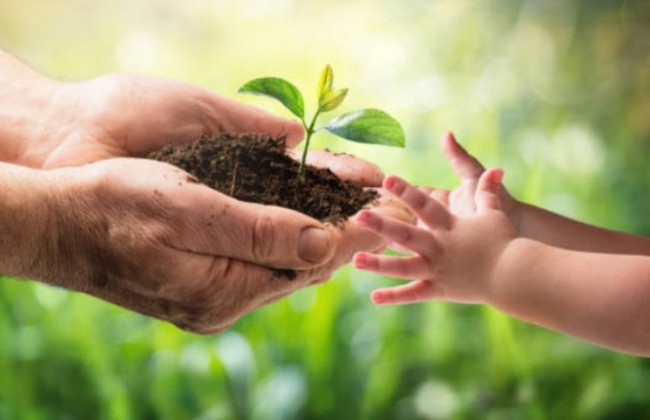 У Комітеті з питань екологічної політики та природокористування обговорили ситуацію з державним екологічним контролем