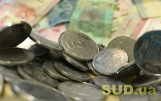 Скільки становить строк оскарження вимоги з єдиного внеску: постанова ВС