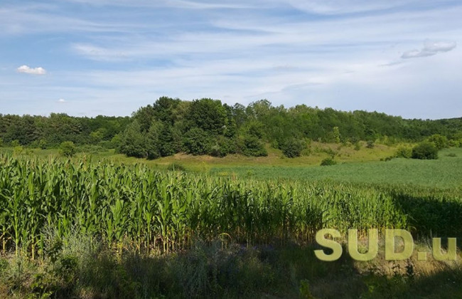 Провести інвентаризацію державних земель у встановлений термін не вийшло