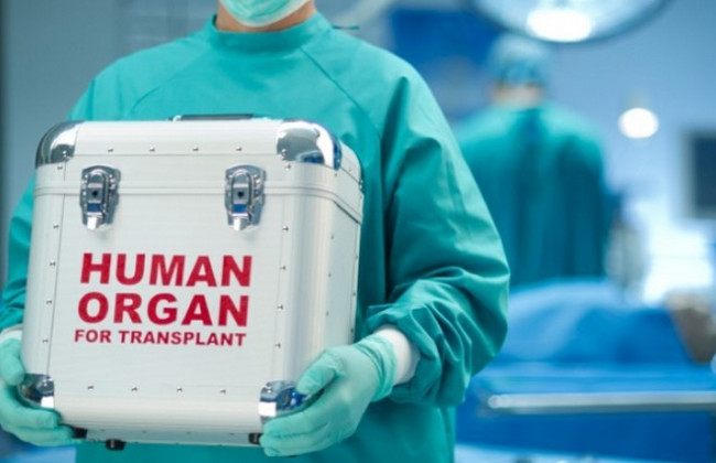 Кабмин утвердил порядок вывоза из Украины органов и материалов человека для донорства