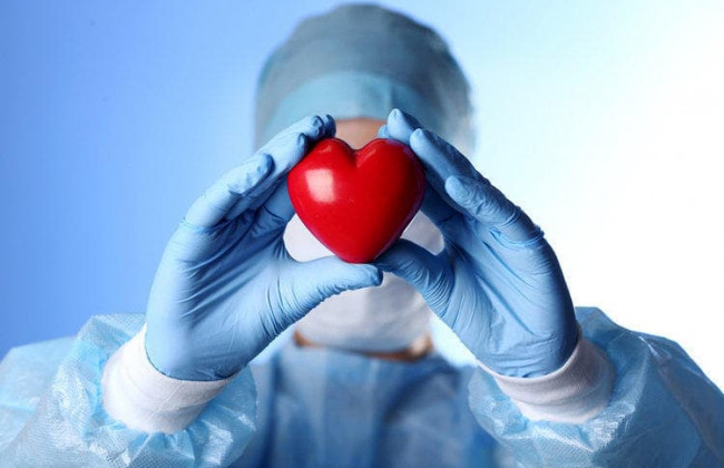 Кабмін визначив порядок перевезення анатомічних матеріалів людини