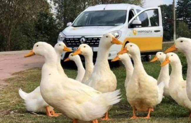 Пошта на колесах: у шести областях України з’являться пересувні поштові відділення