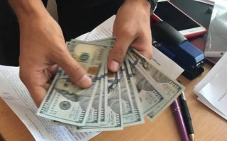 Тисяча доларів за всиновлення: у Києві викрили начальницю Служби у справах дітей