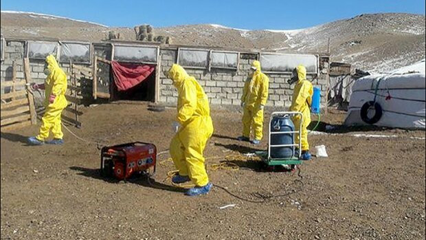 Одне з сіл Китаю закрили на карантин: виявлено бубонну чуму