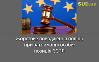 Жорстоке поводження поліції при затриманні особи: позиція ЄСПЛ