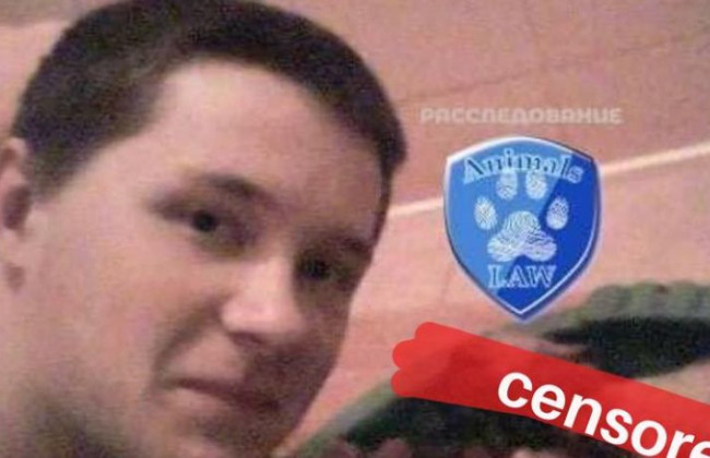 Знущався над тваринами: на Київщині покарають живодера