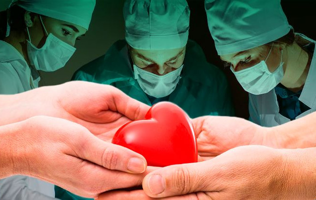 Розбудова системи трансплантації: МОЗ презентувало стратегію