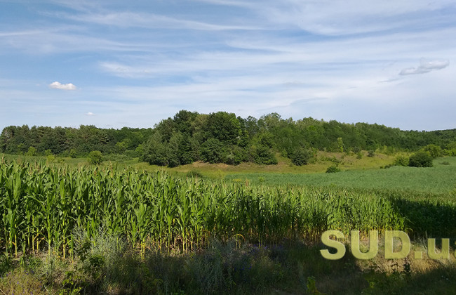 Позови про припинення права користування мисливськими угіддями мають вирішуватись адміністративними судами