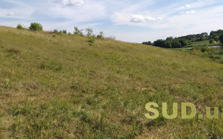 Поновлення договору оренди земельної ділянки: що потрібно знати