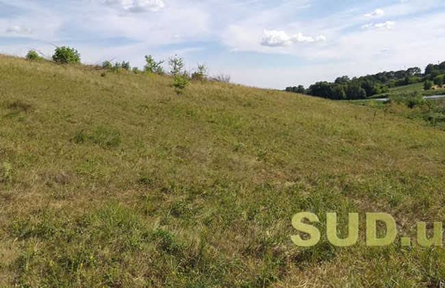 Поновлення договору оренди земельної ділянки: що потрібно знати