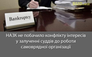 НАЗК не побачило конфлікту інтересів у залученні суддів до роботи самоврядної організації