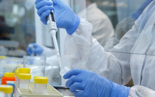 В Одесской области обнаружили сибирскую язву: какие симптомы болезни