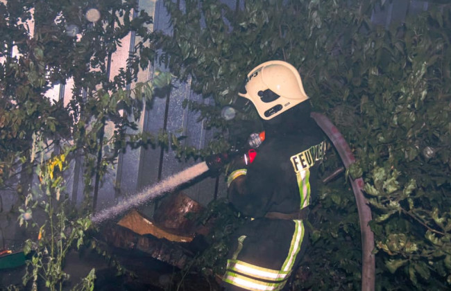 В Киеве ночью горел вольер для собак: есть жертва среди животных, фото