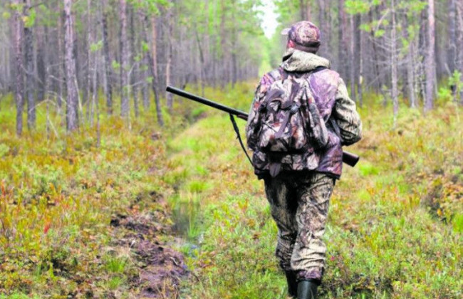 Як розглядаються позови про припинення права користування мисливськими угіддями