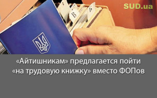 «Айтишникам» предлагается пойти «на трудовую книжку» вместо ФОПов