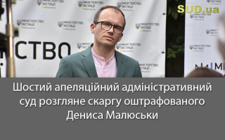 Шостий апеляційний адміністративний суд розгляне скаргу оштрафованого Дениса Малюськи