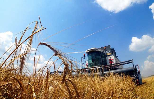 З початку нового сезону Україна експортувала понад 5 млн тонн зернових