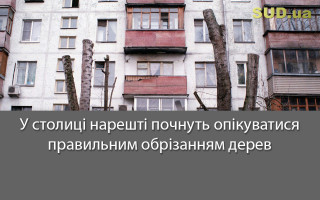 У столиці нарешті почнуть опікуватися правильним обрізанням дерев
