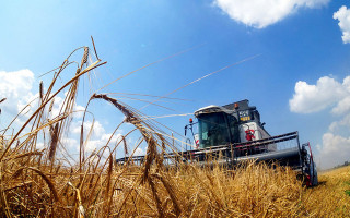 З початку нового сезону Україна експортувала понад 5 млн тонн зернових