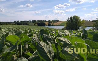 У Київській області викрито схему привласнення земельних ділянок