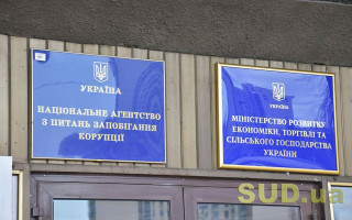 Голова суду, міністр та народний депутат: НАЗК перевіряє декларації ще 31 посадовця