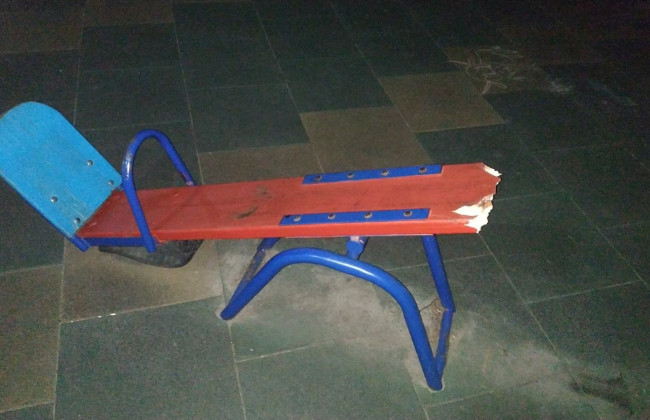 Под Киевом вандалы атаковали парк, фото