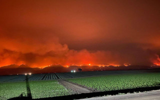У США вирують масштабні пожежі, фото