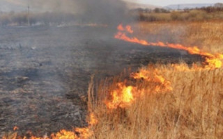 В Украине объявили о чрезвычайной пожарной опасности: карта