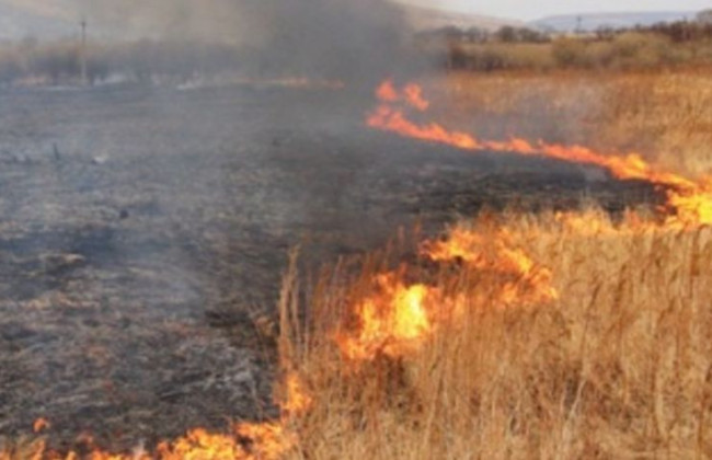 В Украине объявили о чрезвычайной пожарной опасности: карта